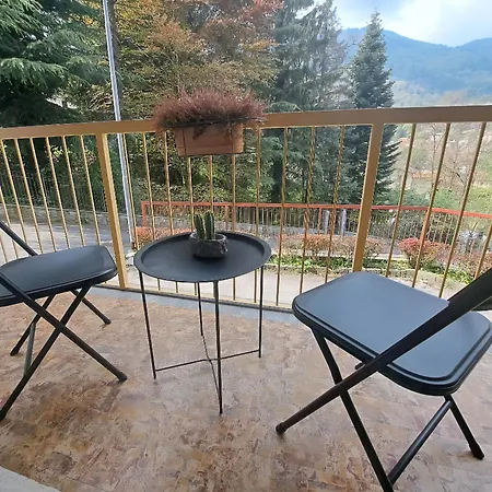 Dinky's With A Balcony Overlooking The Woods Apartamento *