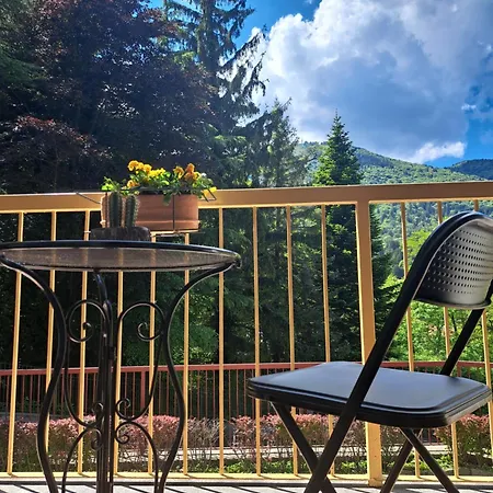 Dinky's With A Balcony Overlooking The Woods * Magreglio